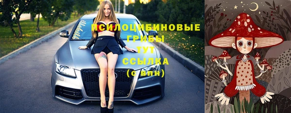 дживик Абинск