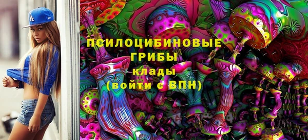 дживик Абинск